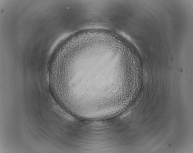 X0000076081408200610152241