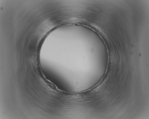 X0000076081410200610152241