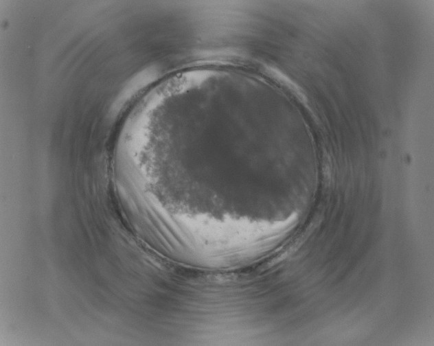 X0000076081411200610152241