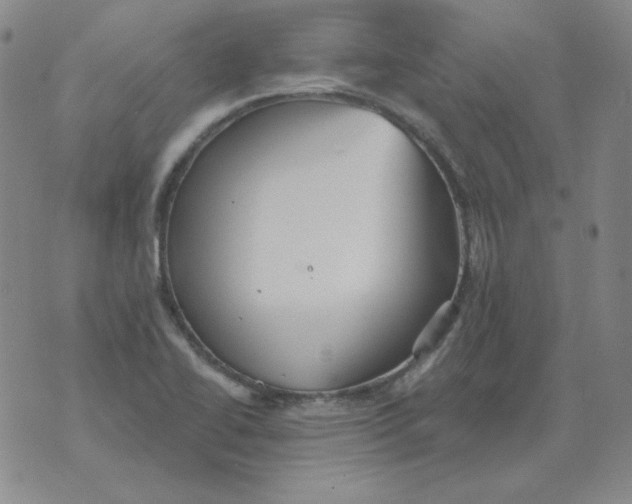 X0000076081414200610152241