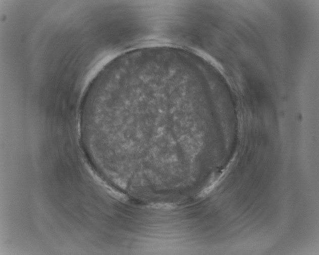 X0000076081415200610152241