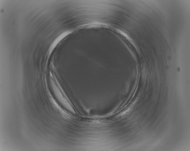 X0000076081418200610152241