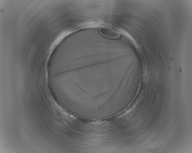 X0000076081419200610152241