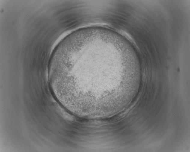 X0000076081420200610152241