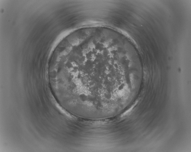 X0000076081421200610152241