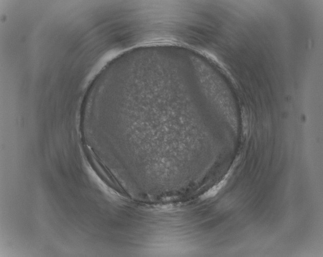 X0000076081422200610152241