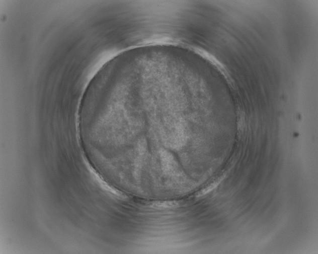 X0000076081423200610152241