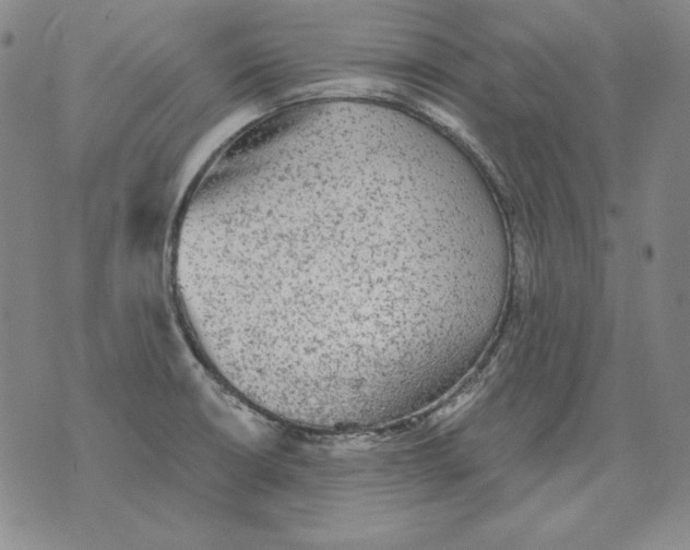 X0000076081426200610152241