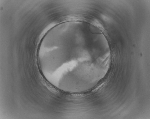 X0000076081427200610152241