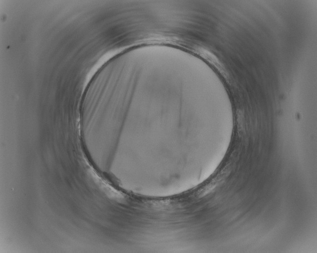 X0000076081428200610152241