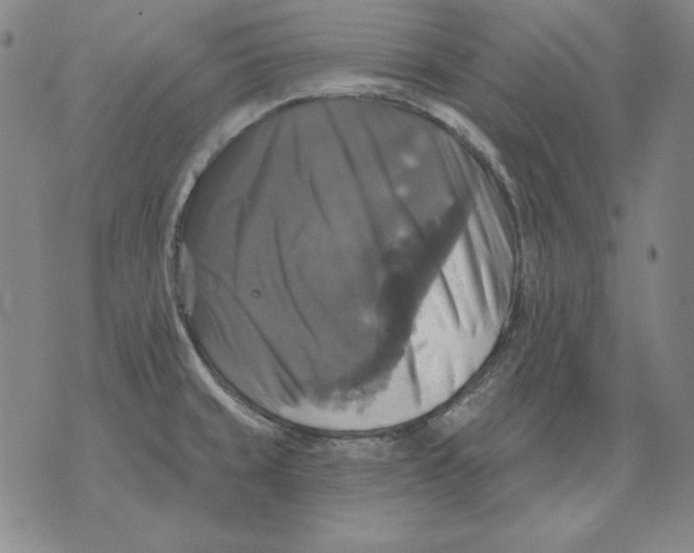 X0000076081429200610152241