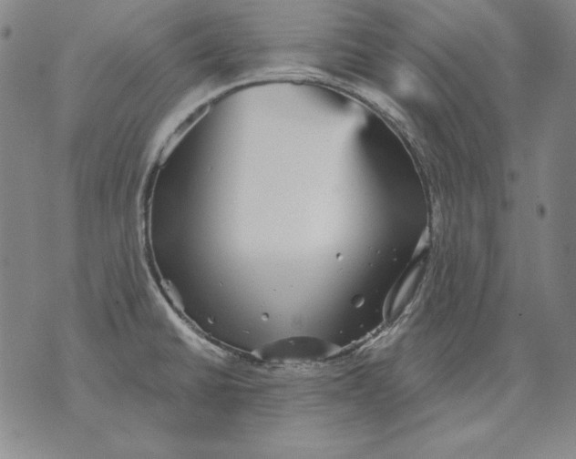 X0000076081430200610152241