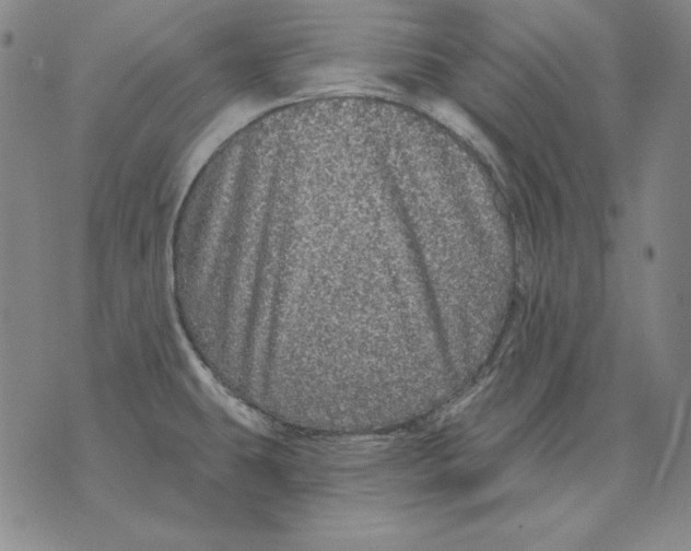 X0000076081431200610152241