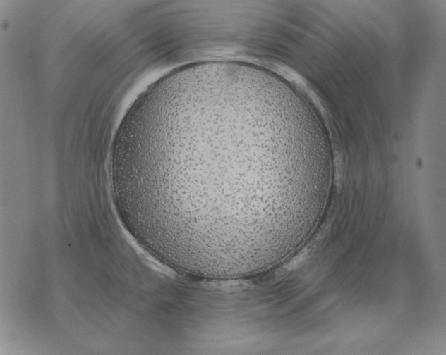 X0000076081432200610152241