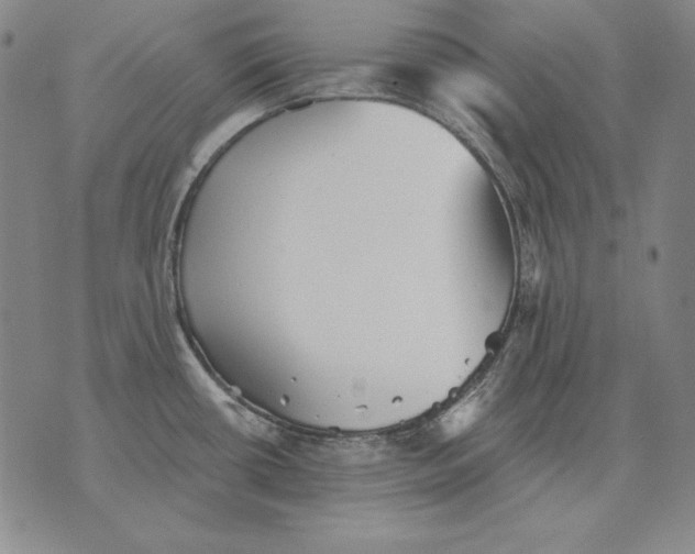 X0000076081434200610152241