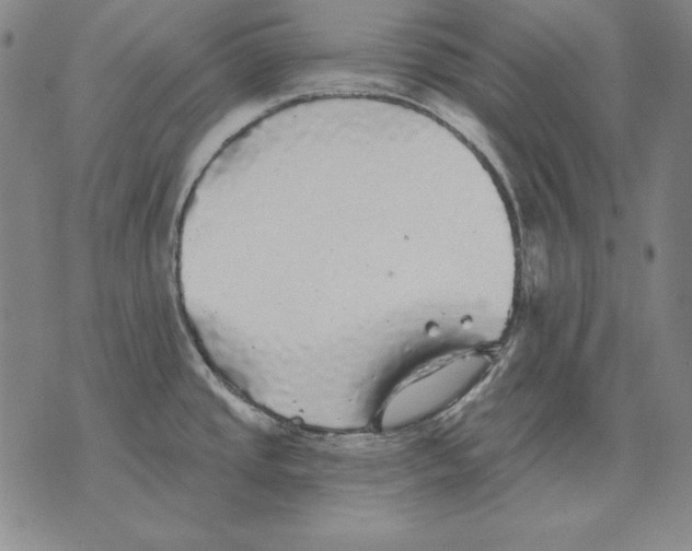 X0000076081437200610152242