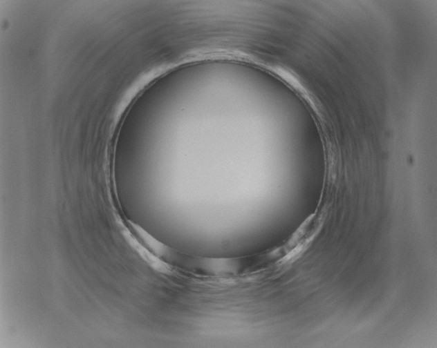 X0000076081438200610152242