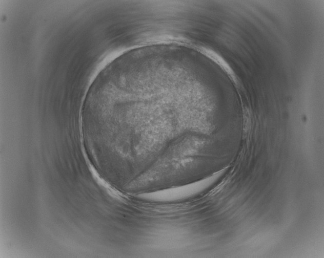 X0000076081439200610152242