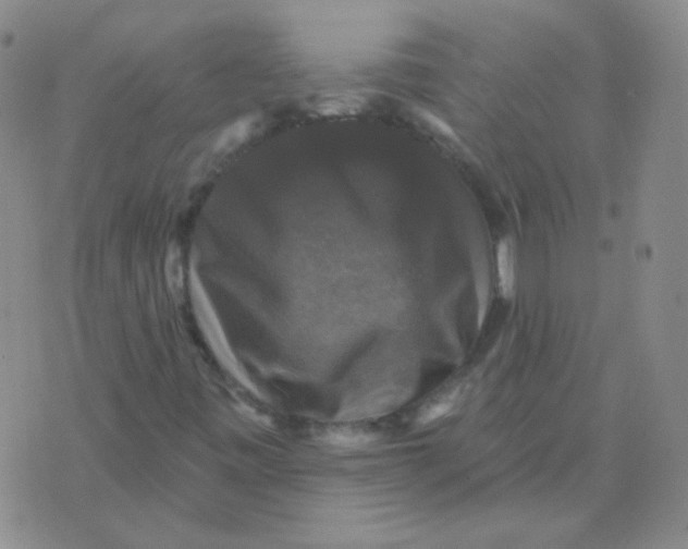 X0000076081443200610152241