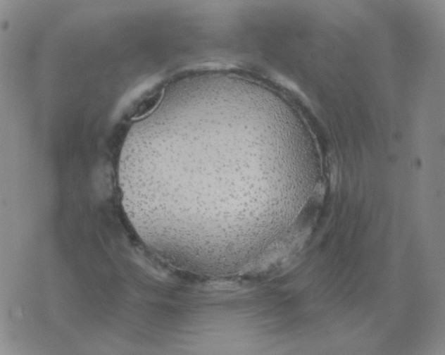 X0000076081448200610152241