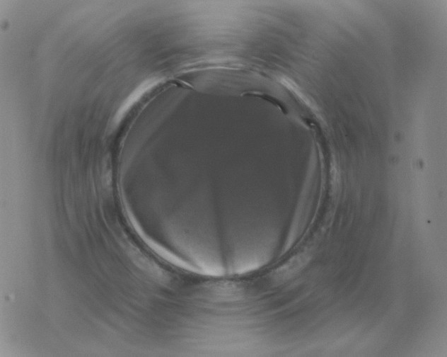 X0000076081450200610152241