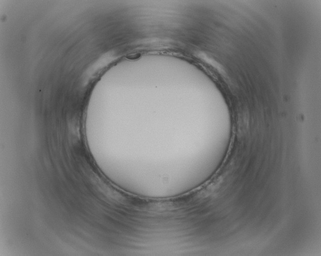 X0000076081451200610152241