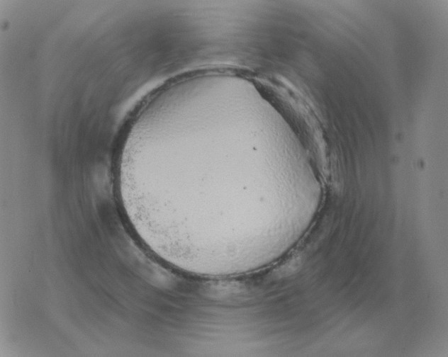 X0000076081452200610152241