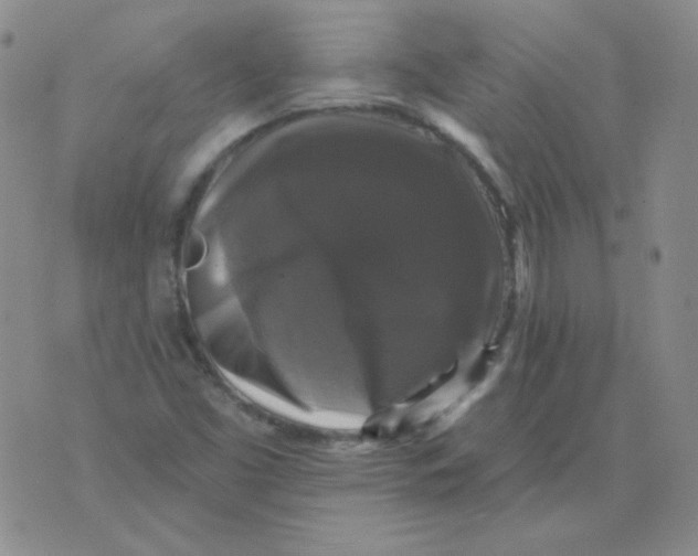 X0000076081453200610152241