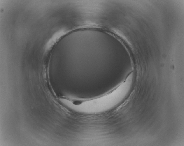 X0000076081455200610152241