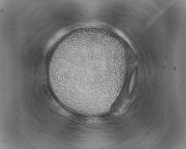 X0000076081456200610152241