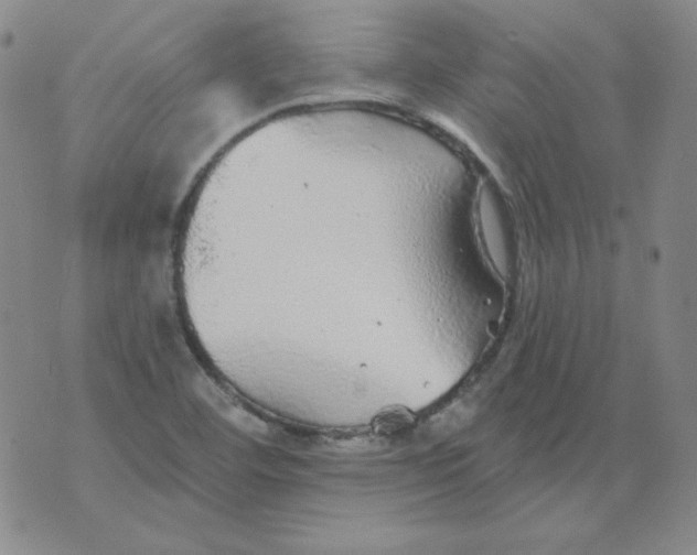 X0000076081460200610152240