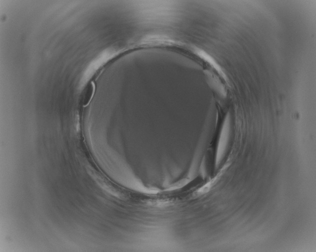 X0000076081461200610152240