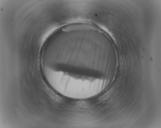 X0000076081463200610152240