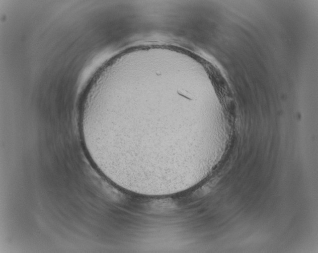 X0000076081464200610152240