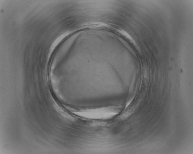 X0000076081466200610152240