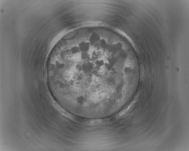 X0000076081467200610152240