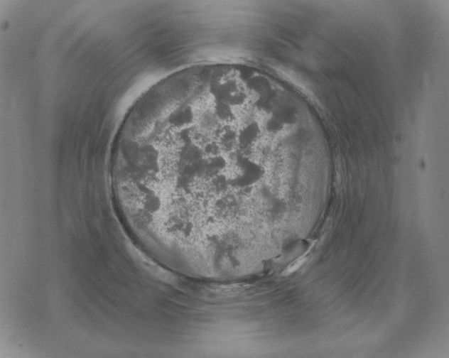 X0000076081471200610152240