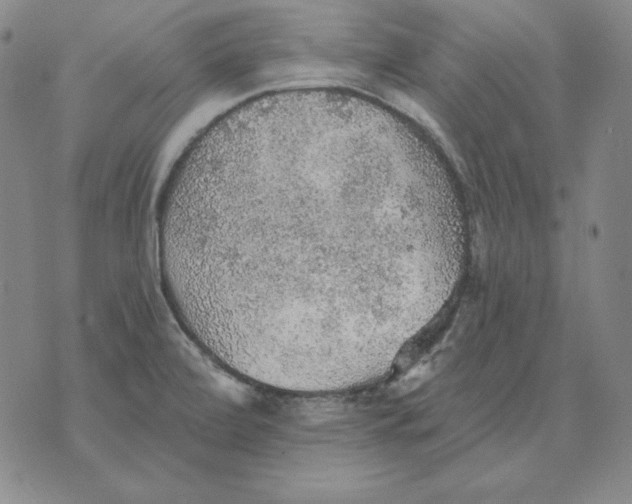 X0000076081472200610152240