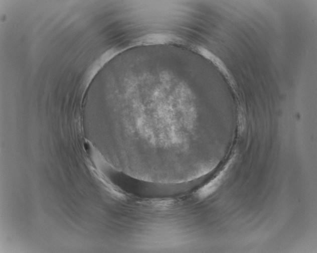 X0000076081473200610152240