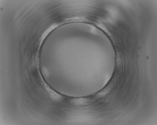 X0000076081474200610152240