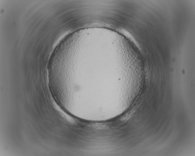 X0000076081476200610152240