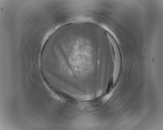 X0000076081477200610152240