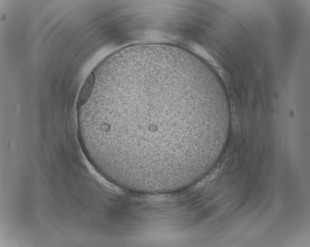 X0000076081479200610152240