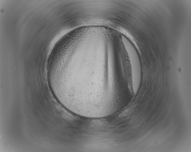 X0000076081480200610152240