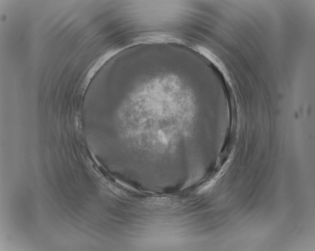 X0000076081481200610152240