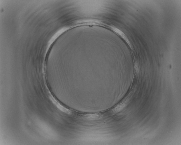 X0000076081482200610152240