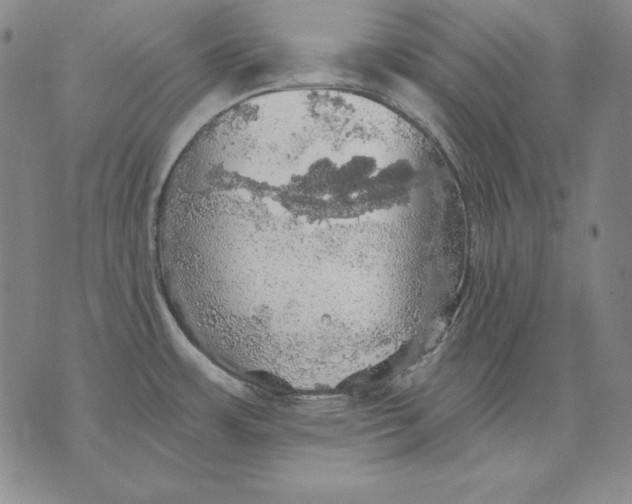 X0000076081483200610152240