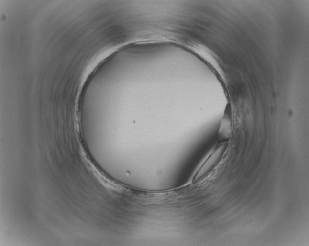 X0000076081485200610152240