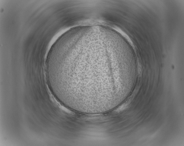 X0000076081486200610152240