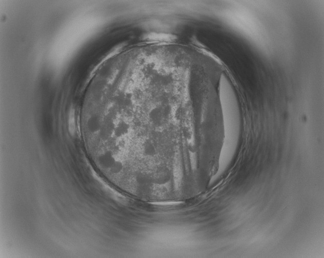 X0000076081487200610152240